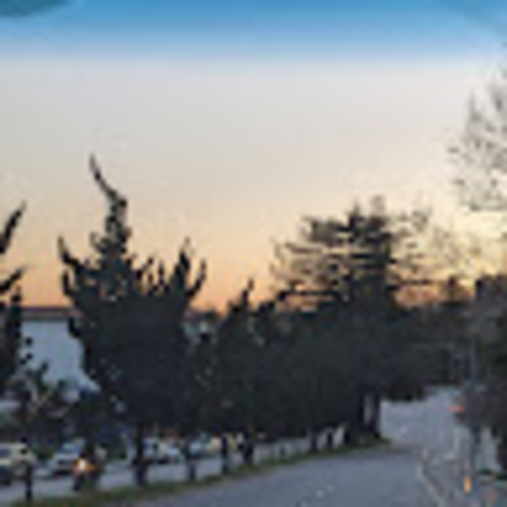 Meet your Posher, Sofia